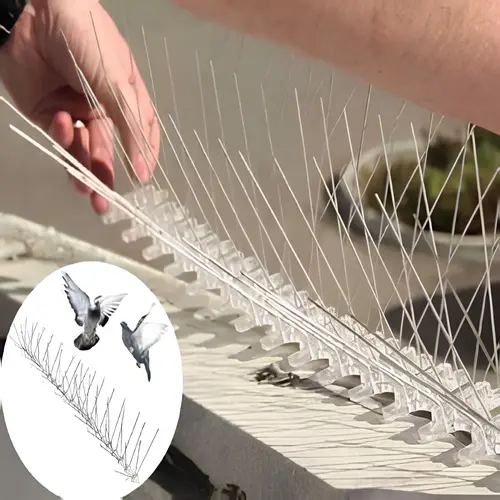 Netting Craftsmen Bird Spikes or Pigeon Spikes Installation Services in Pune, Nashik, Mumbai, Bhugaon, Lohogaon, Nigdi, Akurdi, Baner, Kothrud, Wakad, Pimpri-Chinchwad, Koregaon Park, Ravet, Lohegaon